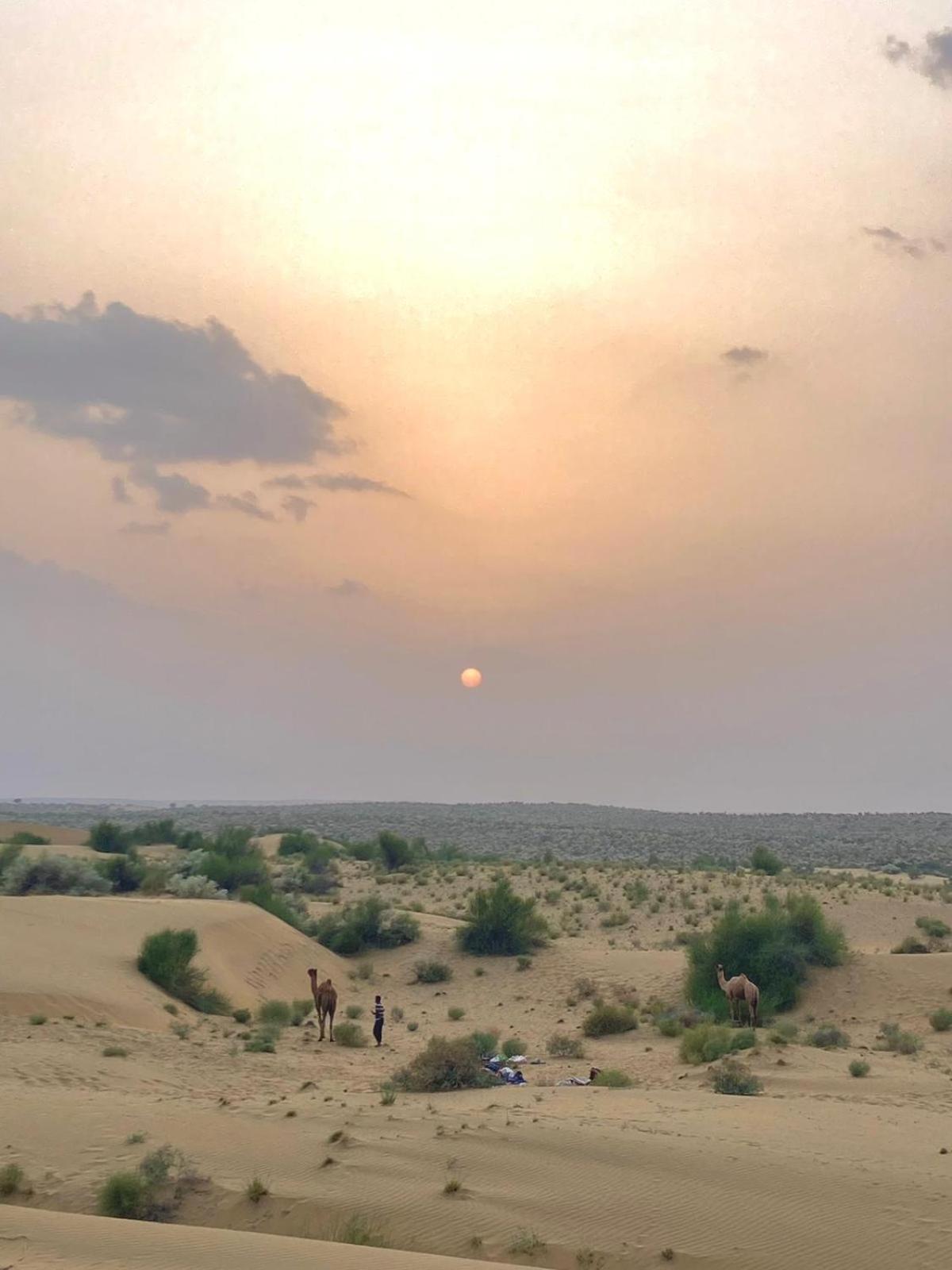 Crazy Camel Hotel & Safari Jaisalmer Exterior foto